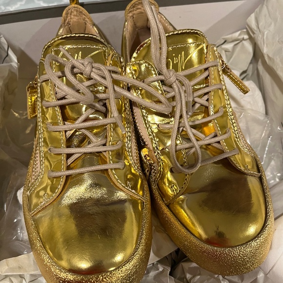 giuseppe zanotti